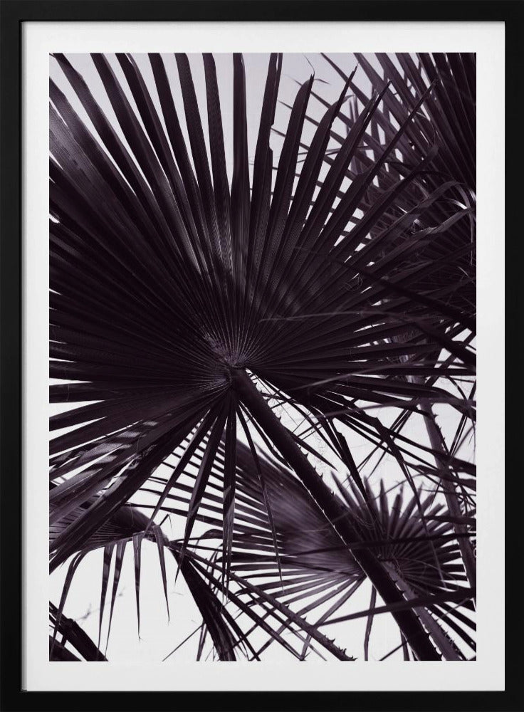 Palmensilhouette | Poster