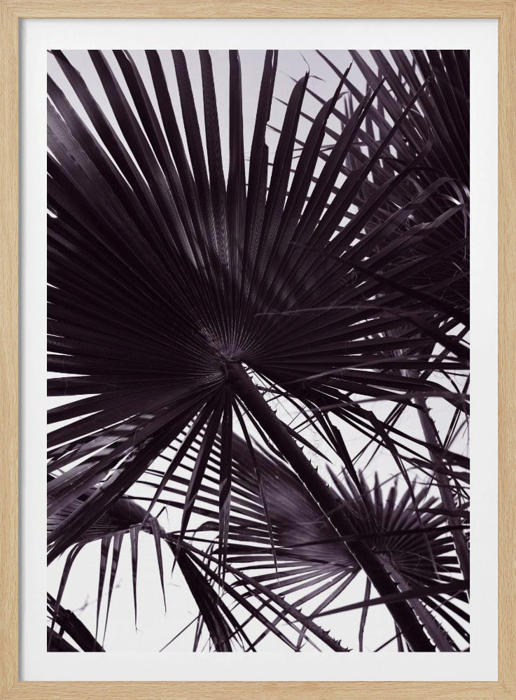 Palmensilhouette | Poster