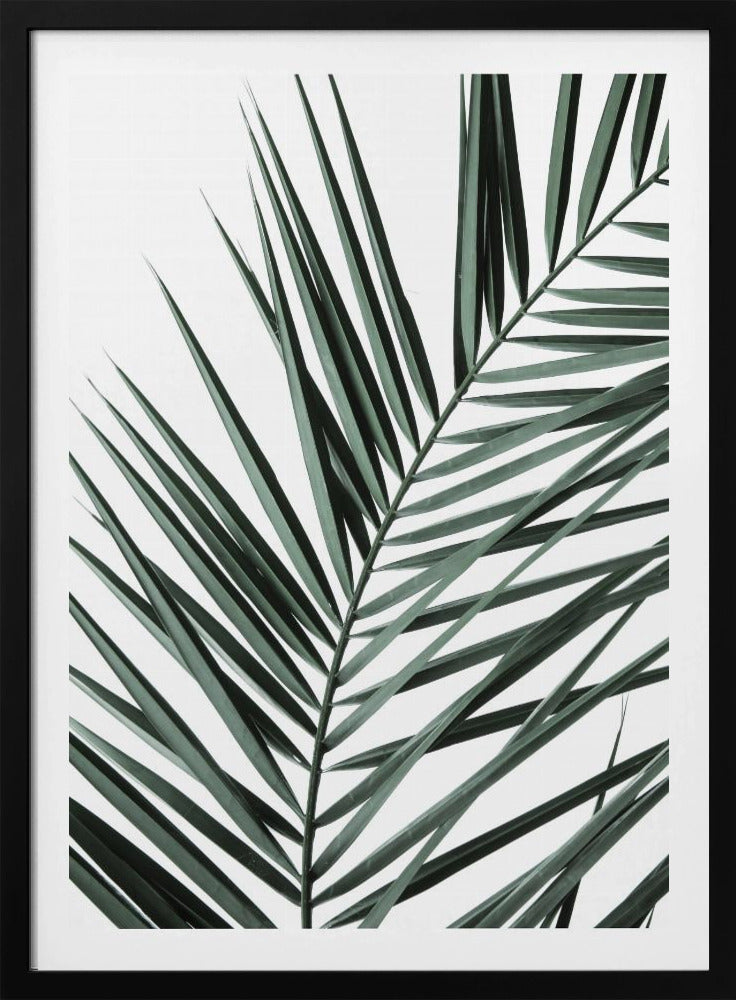 Blattige Eleganz | Poster