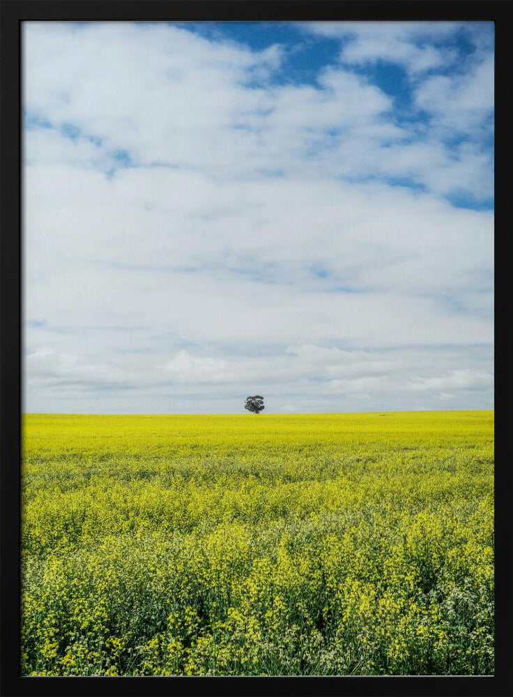 Einsamer Baumhorizont | Poster