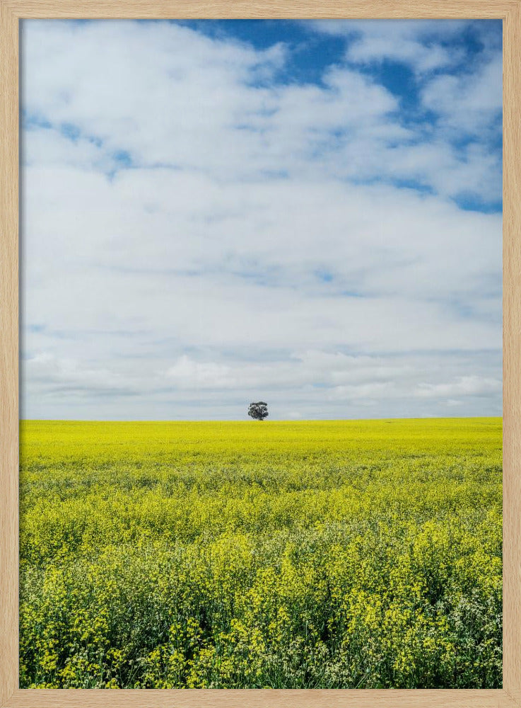 Einsamer Baumhorizont | Poster