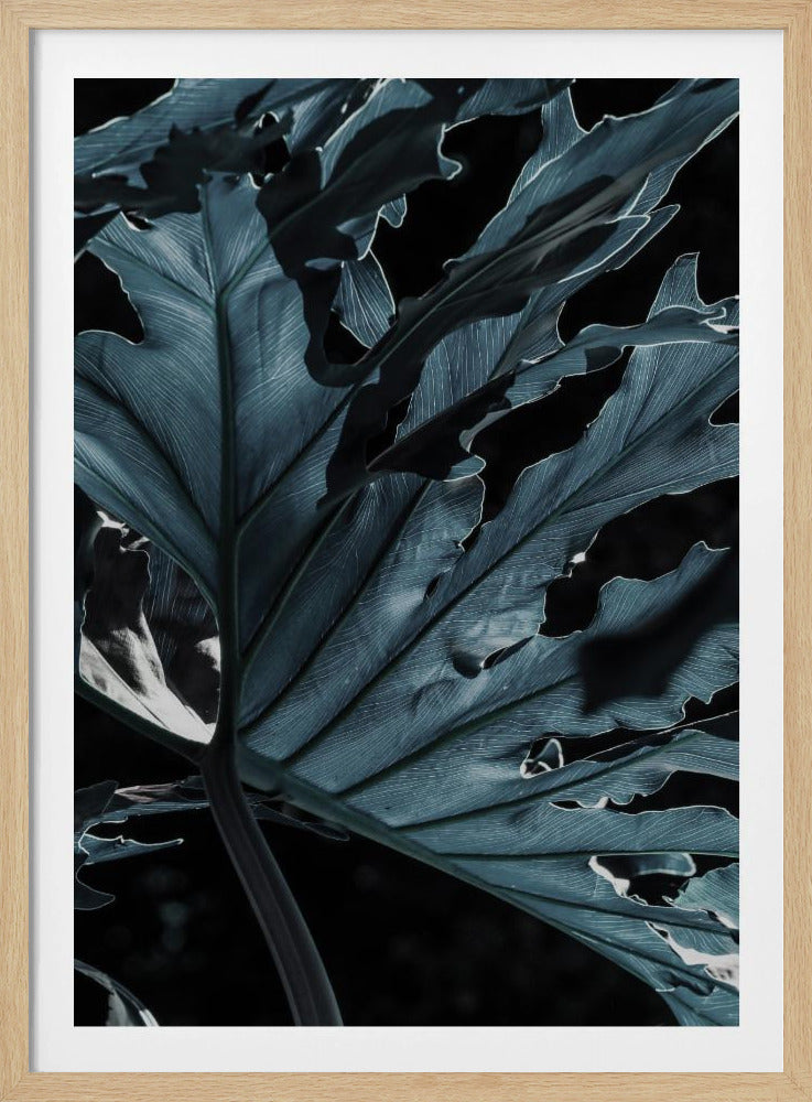 Blattschattenlandschaft | Poster