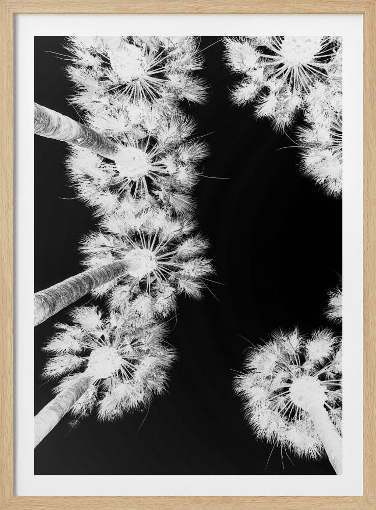 Umgekehrte Palmenlandschaft | Poster