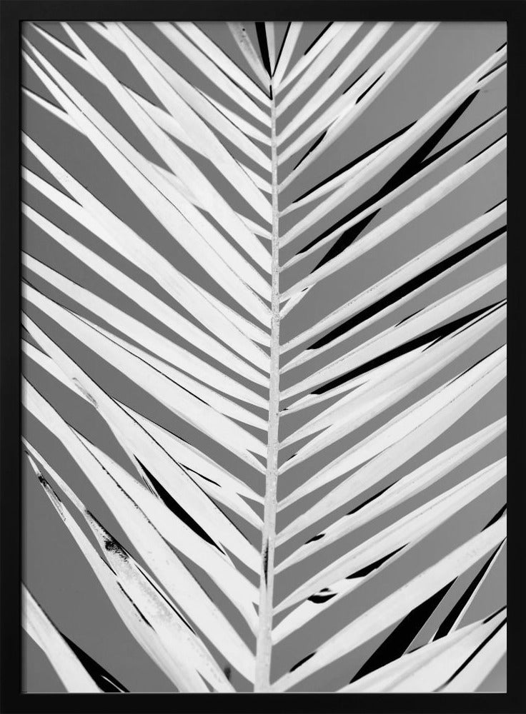 Monochrome Wedel | Poster