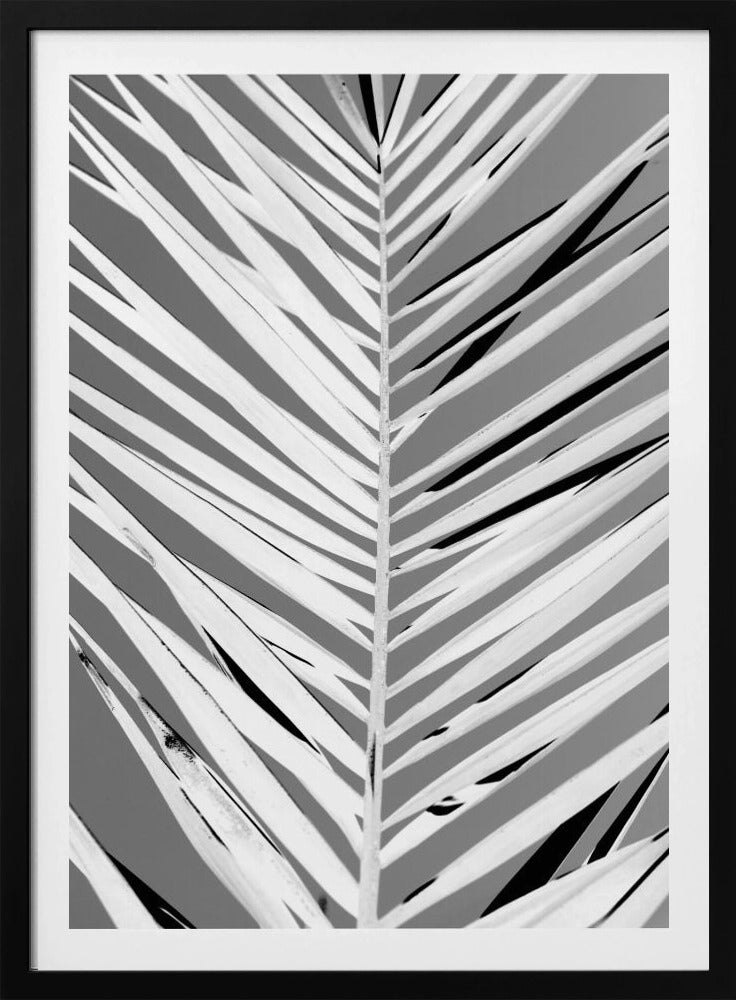 Monochrome Wedel | Poster