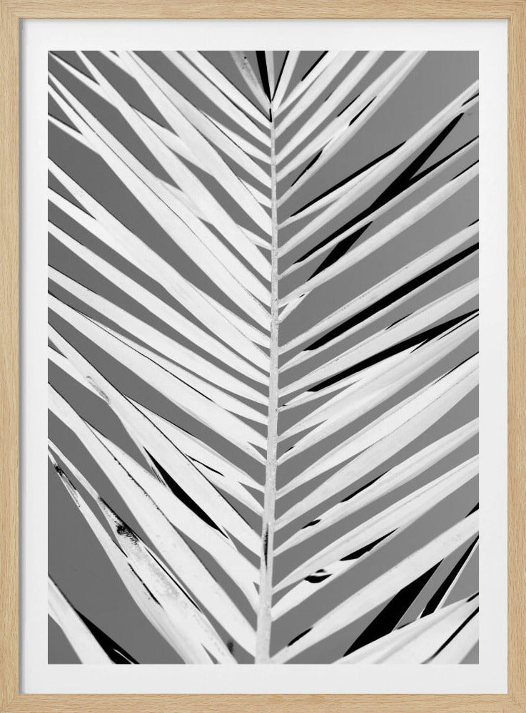 Monochrome Wedel | Poster