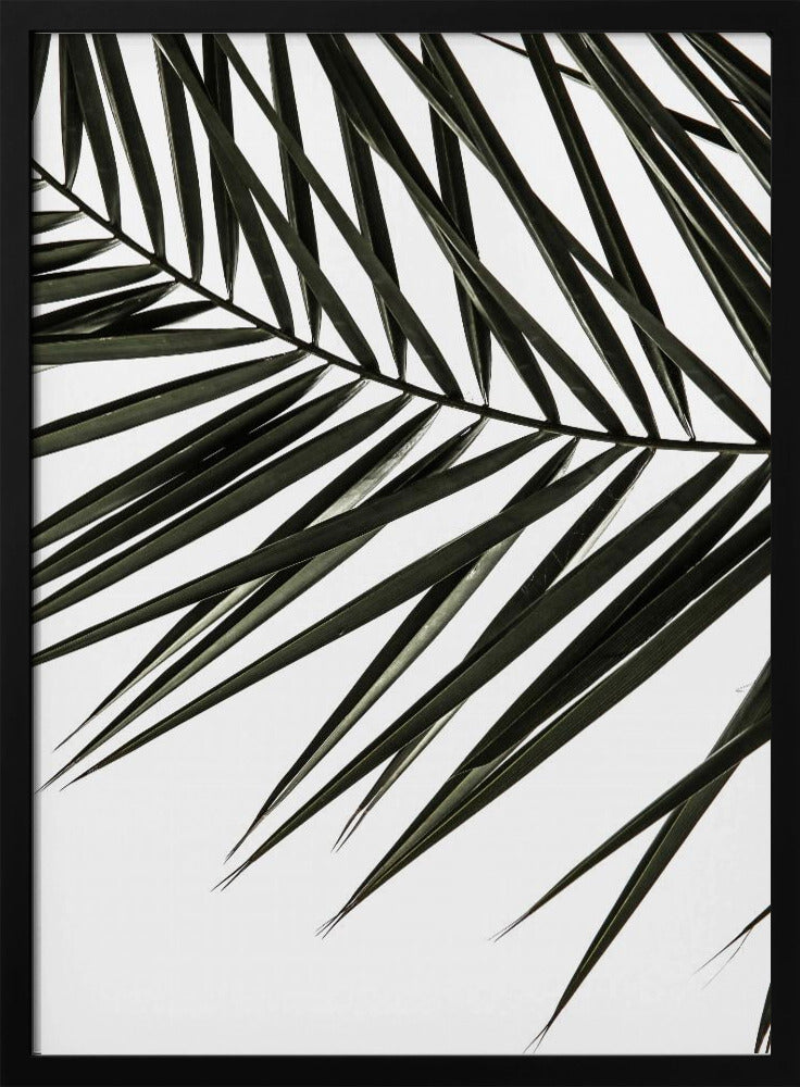 Wedelschatten | Poster