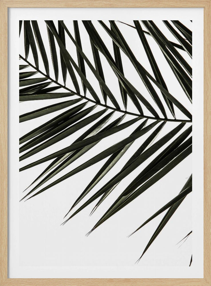 Wedelschatten | Poster
