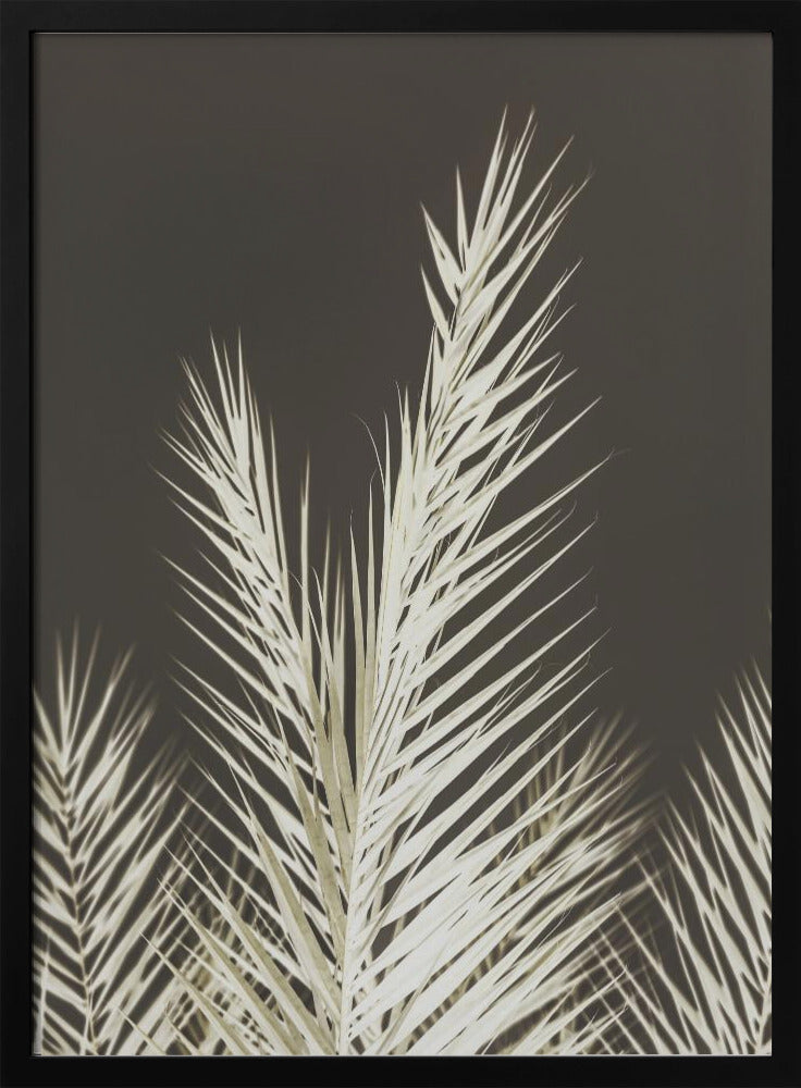 Leuchtende Wedel | Poster