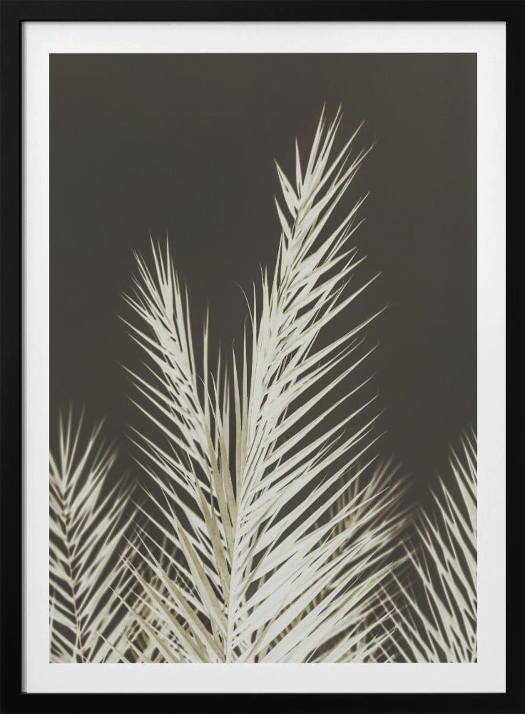 Leuchtende Wedel | Poster