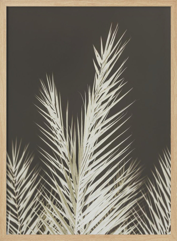 Leuchtende Wedel | Poster