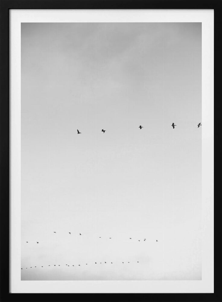 Himmelsflug | Poster