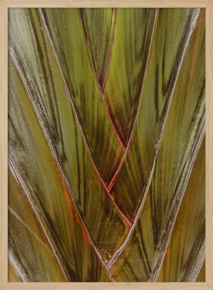 Grüner Wirbel | Poster