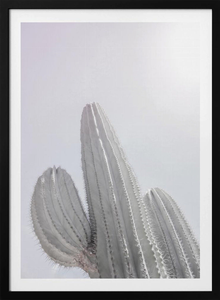 Minimalistischer Kaktus | Poster