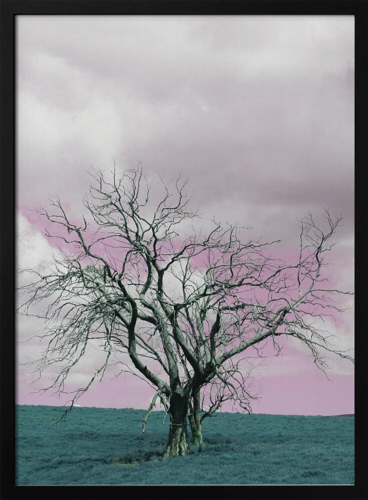 Unfruchtbarer Baum vor einem verträumten rosa Himmel | Poster