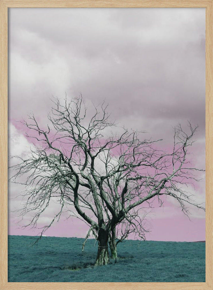 Unfruchtbarer Baum vor einem verträumten rosa Himmel | Poster