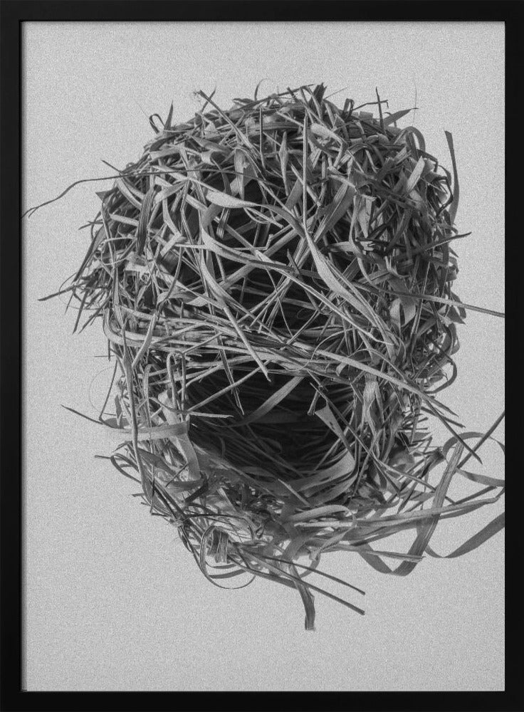 Webernest | Poster