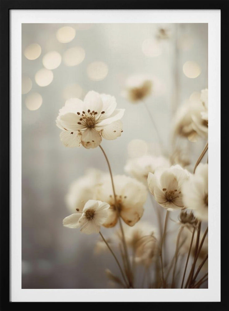 Blütenblätter in sanftem Licht | Poster