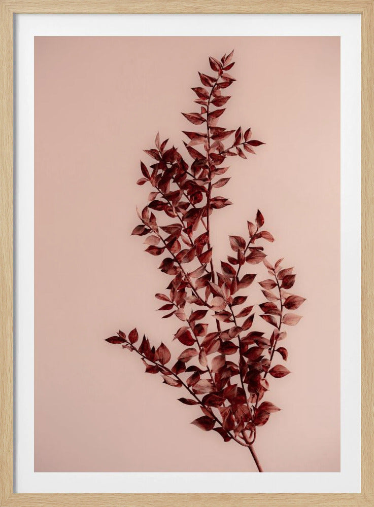Letzter Sommer 18 | Poster