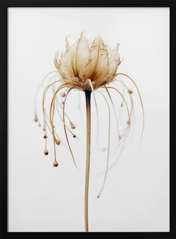 Ätherische Blüte | Poster