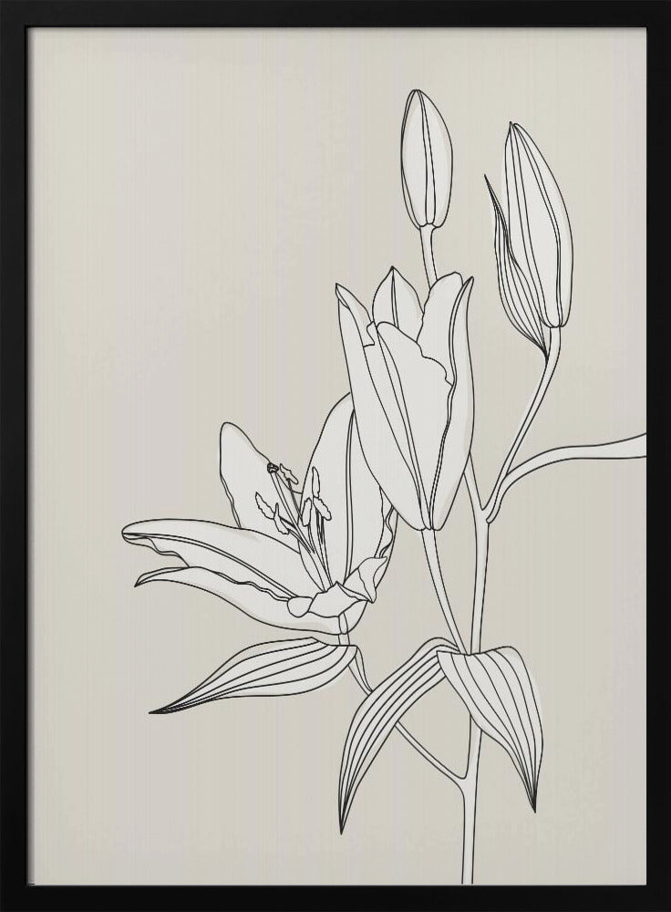 Line Art Lilien in Beige | Poster
