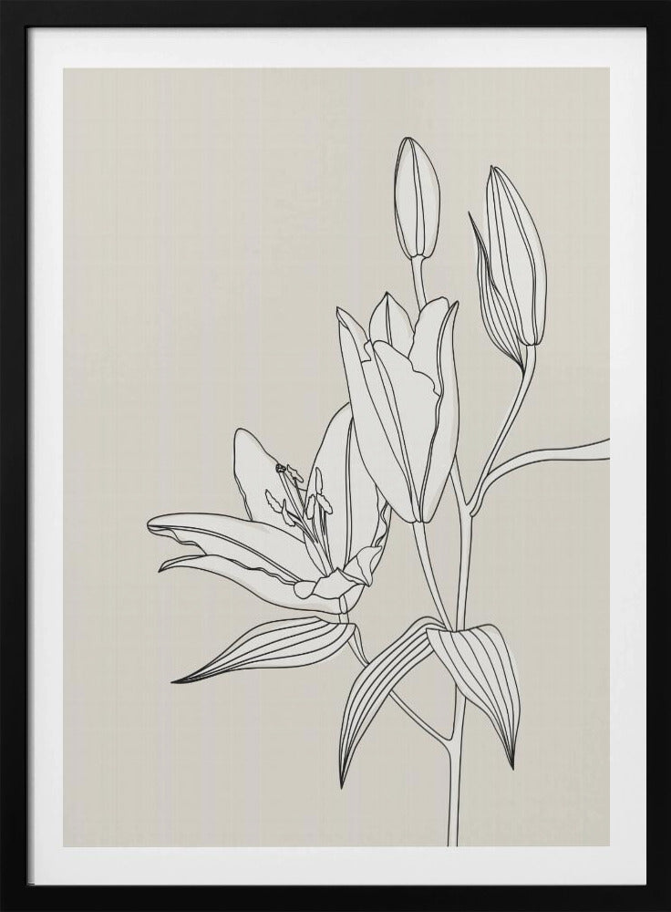 Line Art Lilien in Beige | Poster