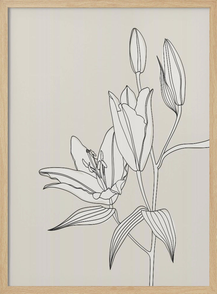 Line Art Lilien in Beige | Poster