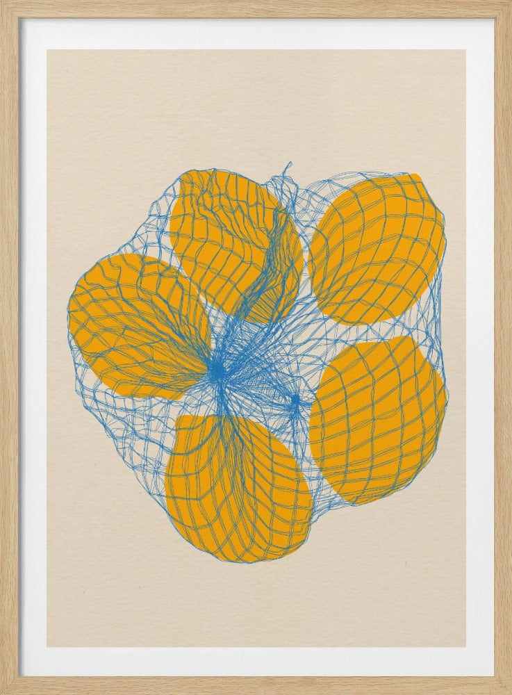 Five Lemons In a Net Bag | Poster