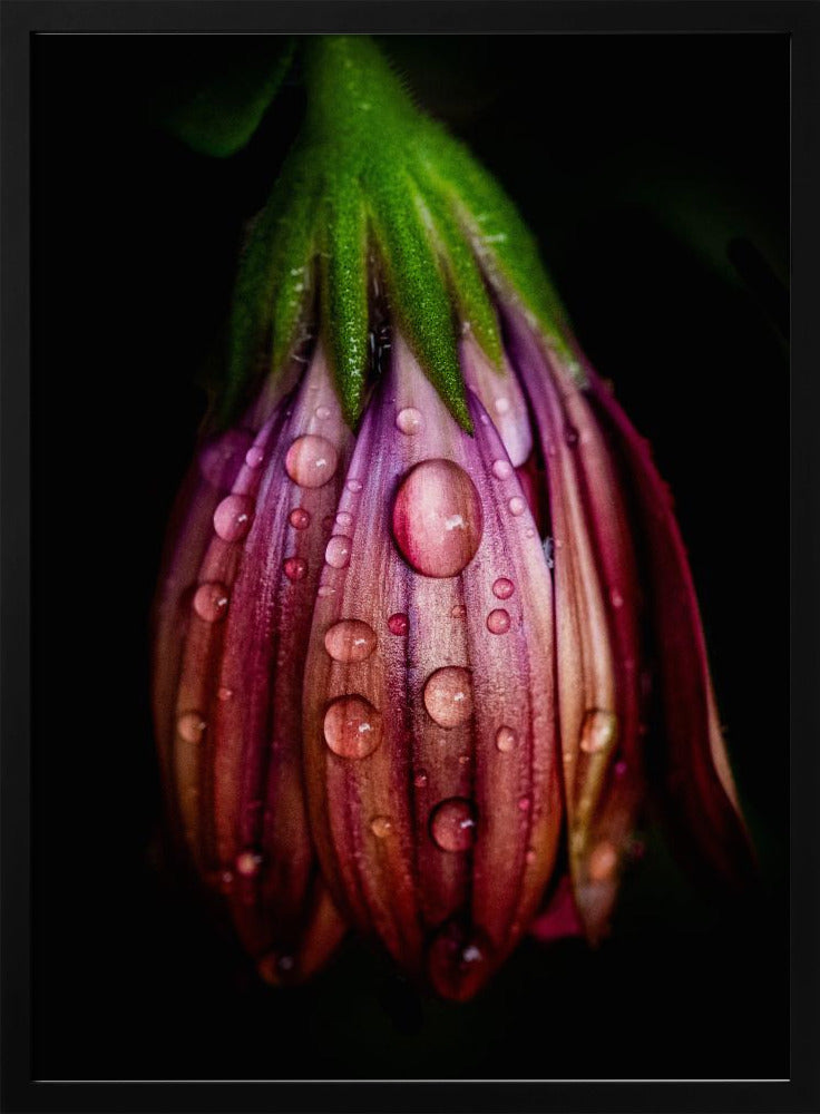 Nach dem Regen | Poster