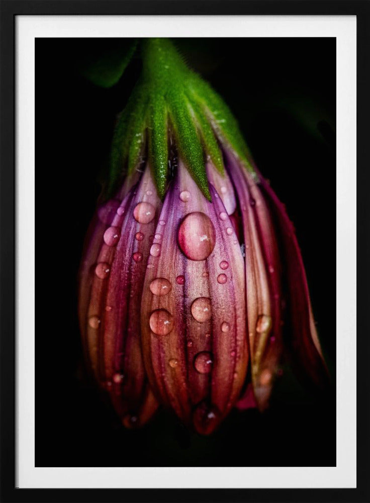 Nach dem Regen | Poster