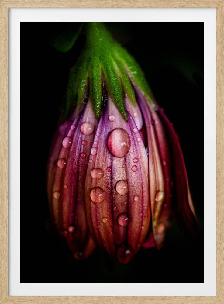 Nach dem Regen | Poster