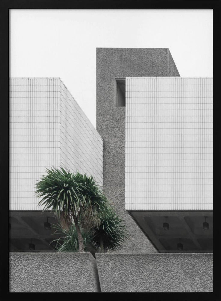 Einsame Palmen | Poster