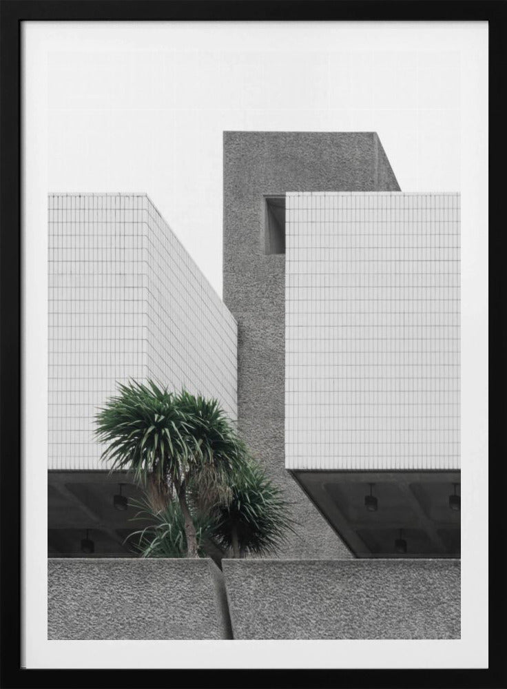 Einsame Palmen | Poster