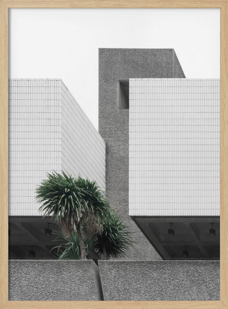 Einsame Palmen | Poster
