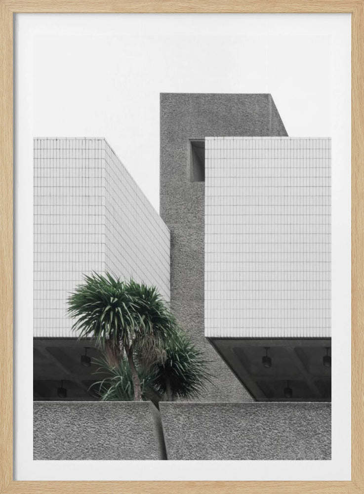Einsame Palmen | Poster