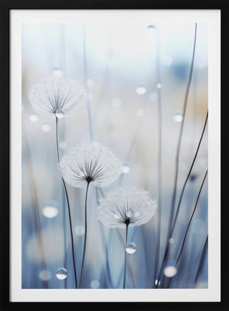Flüsternde Samen | Poster
