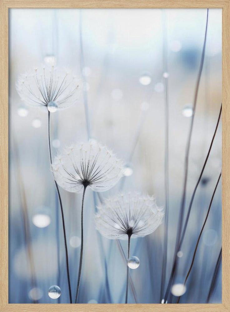 Flüsternde Samen | Poster