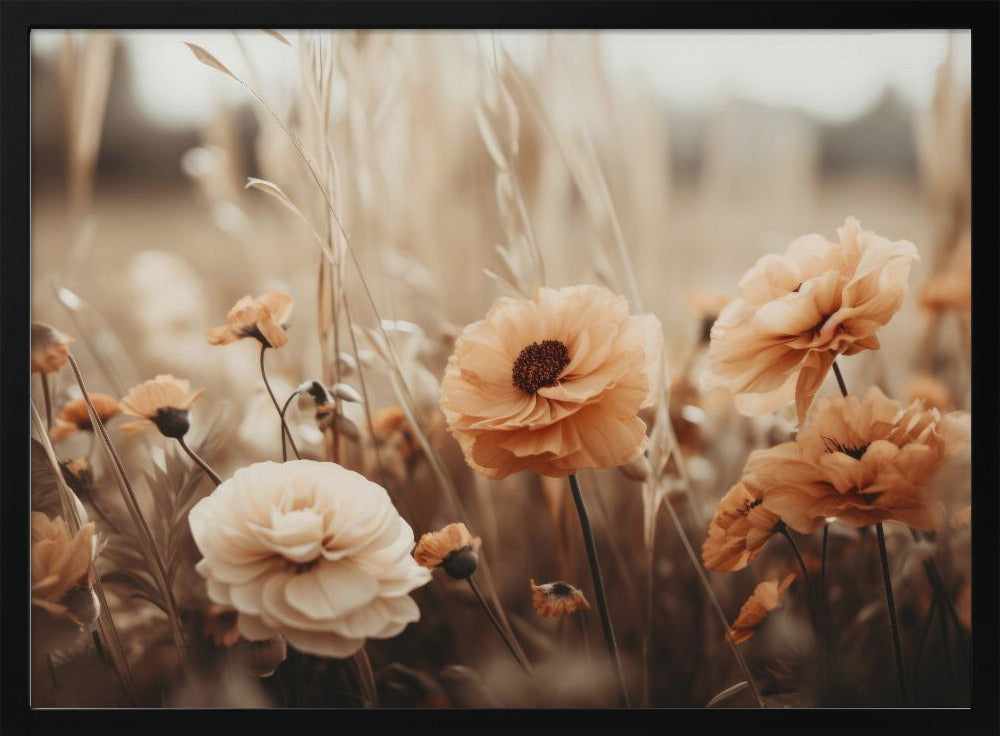 Sepiablüten | Poster