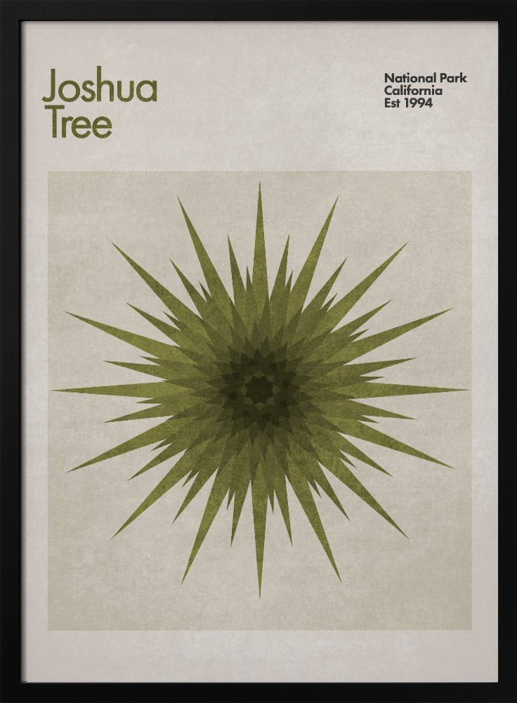 Starburst Flora | Poster