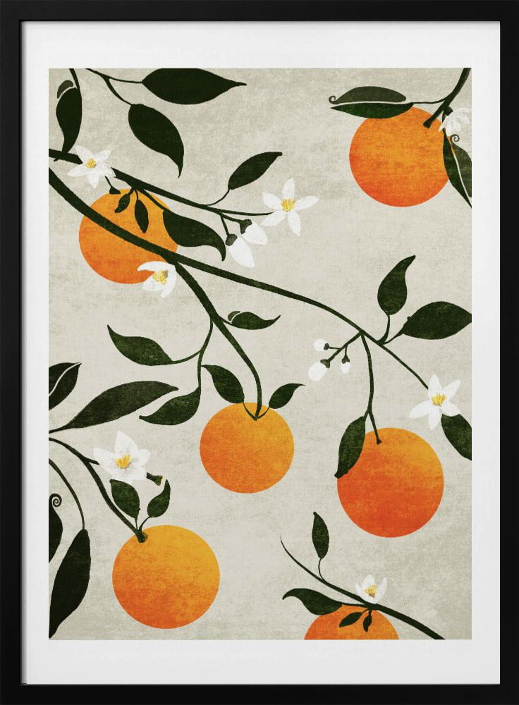 Orangen in Blüte | Poster