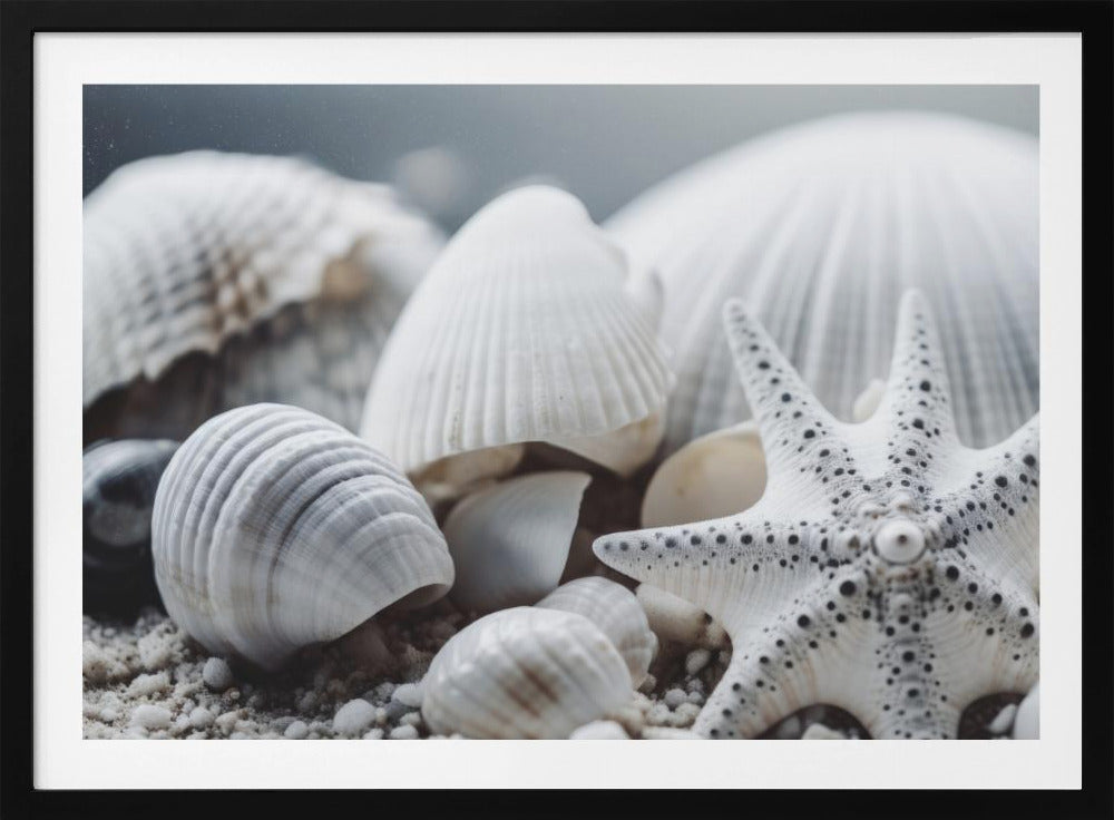Muschelsymphonie | Poster