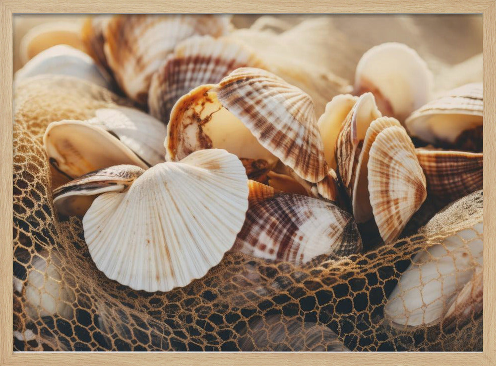 Seashell Symphony | Poster