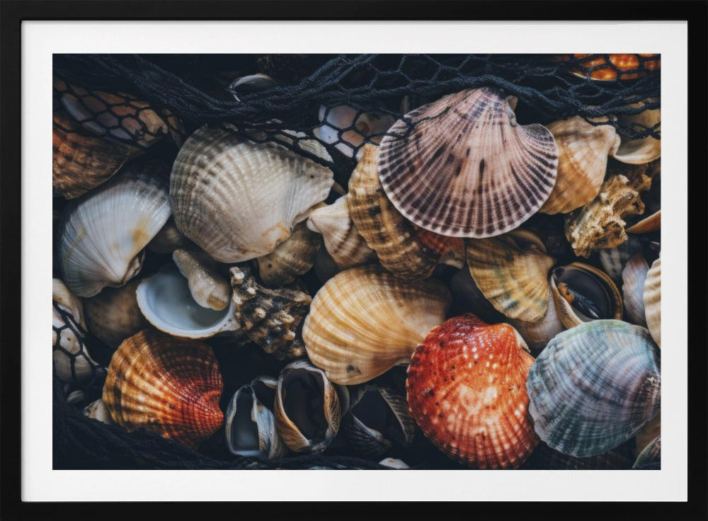 Muschelsymphonie | Poster
