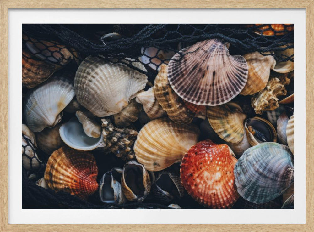 Muschelsymphonie | Poster