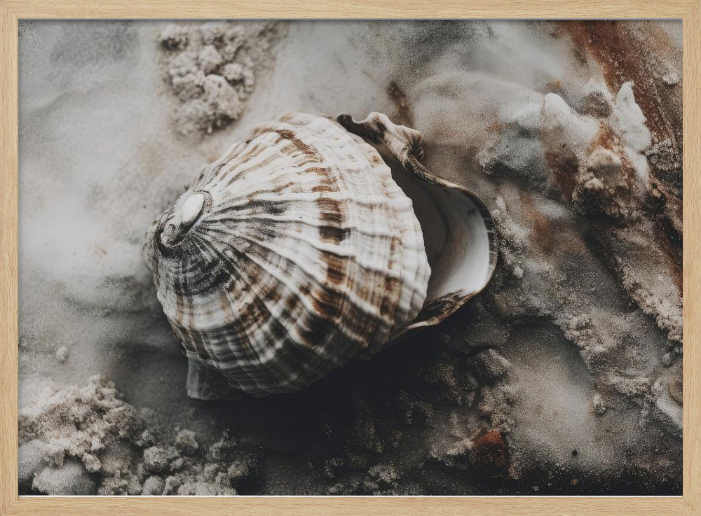 Muschel-Gelassenheit | Poster