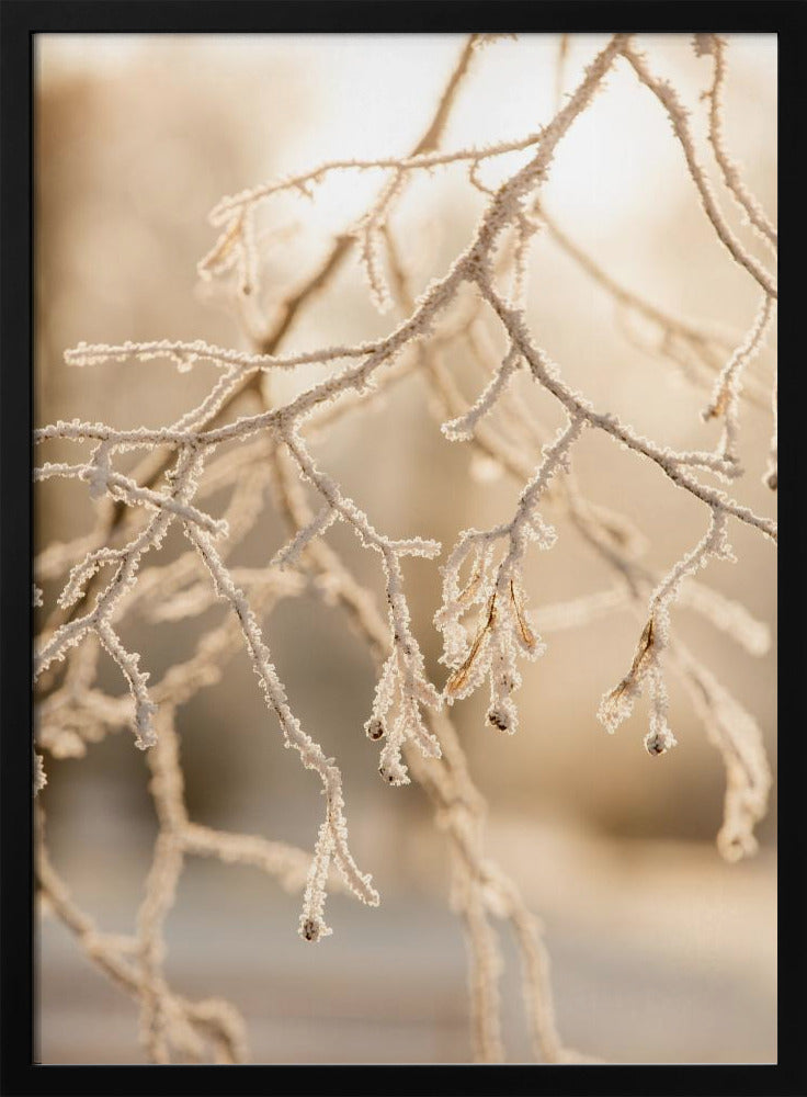 Frostiger Morgen 6 | Poster
