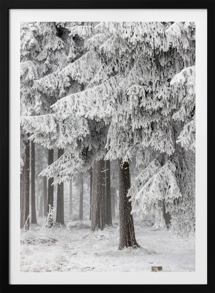 Winterwald 2 | Poster