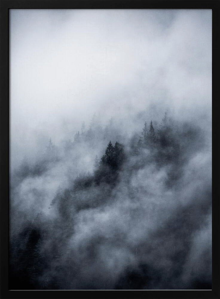 Nebliger Morgen 3 | Poster