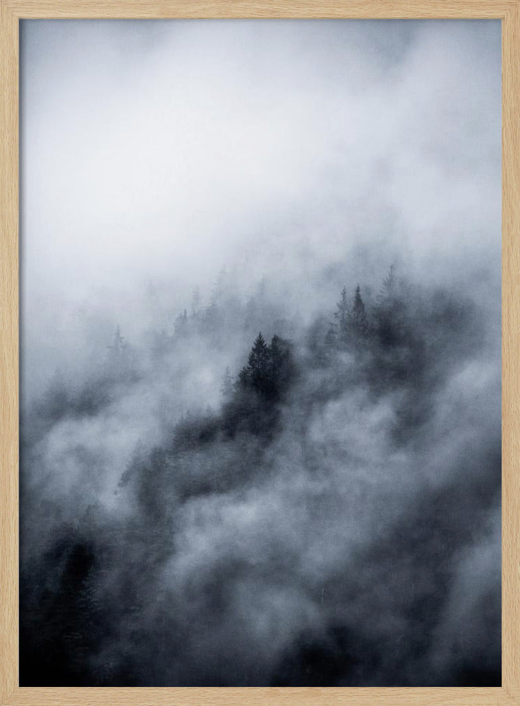 Nebliger Morgen 3 | Poster