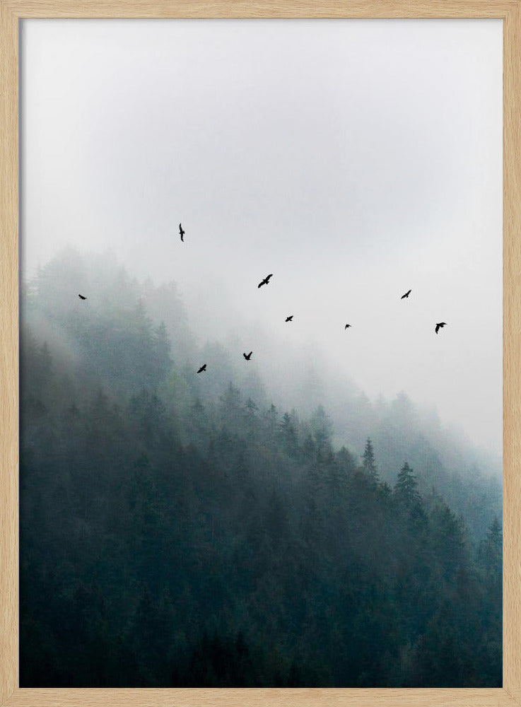 Nebliger Morgen 4 | Poster